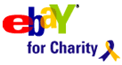 Ebay for Charity