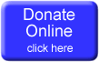Donate online link button